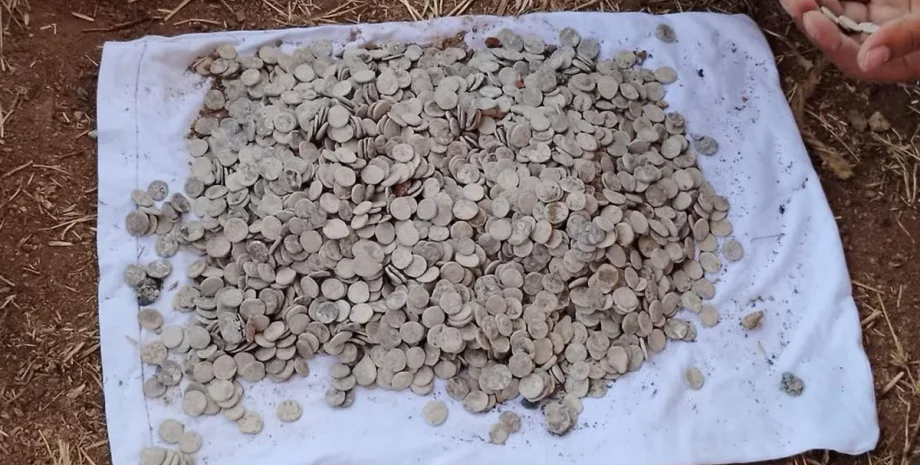 археологи, археология, раскопки, клад, Индия, монеты, горшок, Солнечная династия, Икшваку, артефакт, изображение, символ, храм, Шива, бог, слон, дорога, Махакаала, скульптура, орнамент