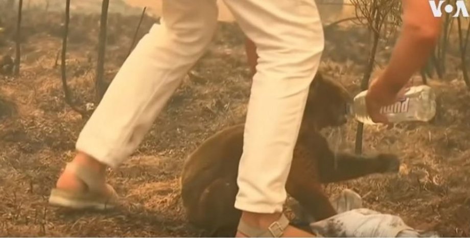 Кадр видео VOA News via YouTube