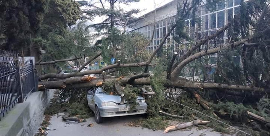 Фото: twitter.com/CrimeaUA1