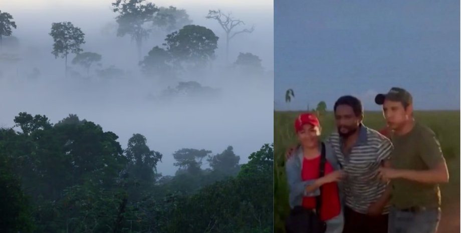 Джунгли, Амазонка, Боливия, потерялся в лесу, потерялся в джурнглях,