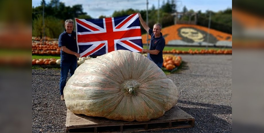 Братья вырастили самую большую в истории тыкву: только подъемник может ее поднять