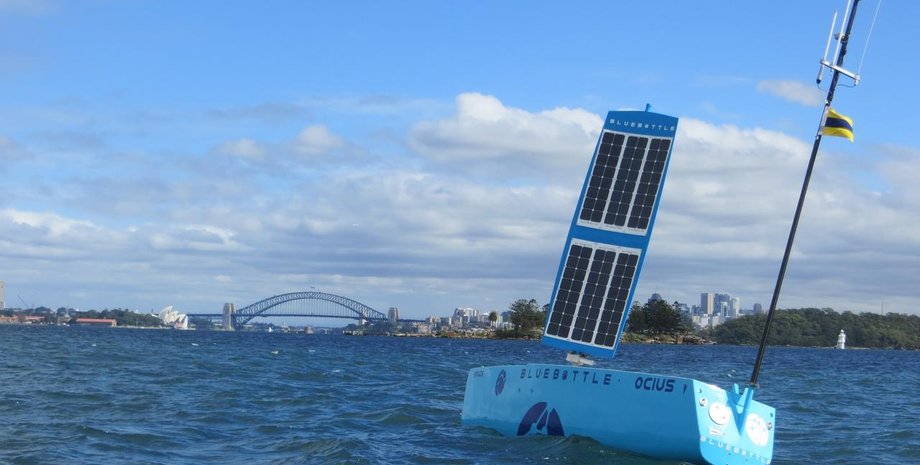 морской дрон, дрон Bluebottle, надводный дрон