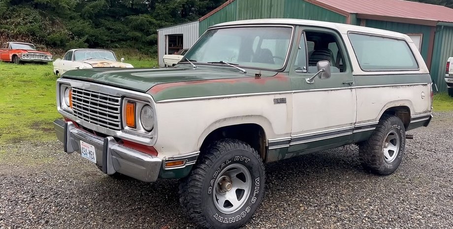 Plymouth Trail Duster 1978, Plymouth Trail Duster, заброшенные авто