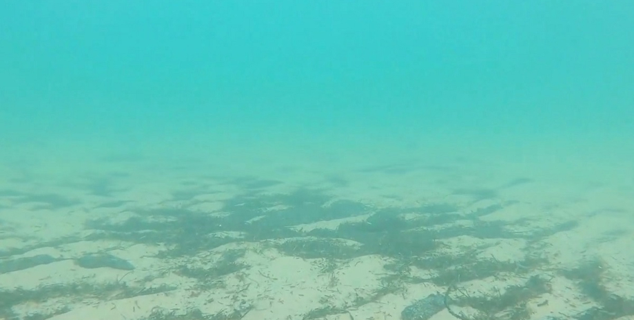 мазут черное море дно мазут, российские танкеры, анапа мазут, крушение танкеров