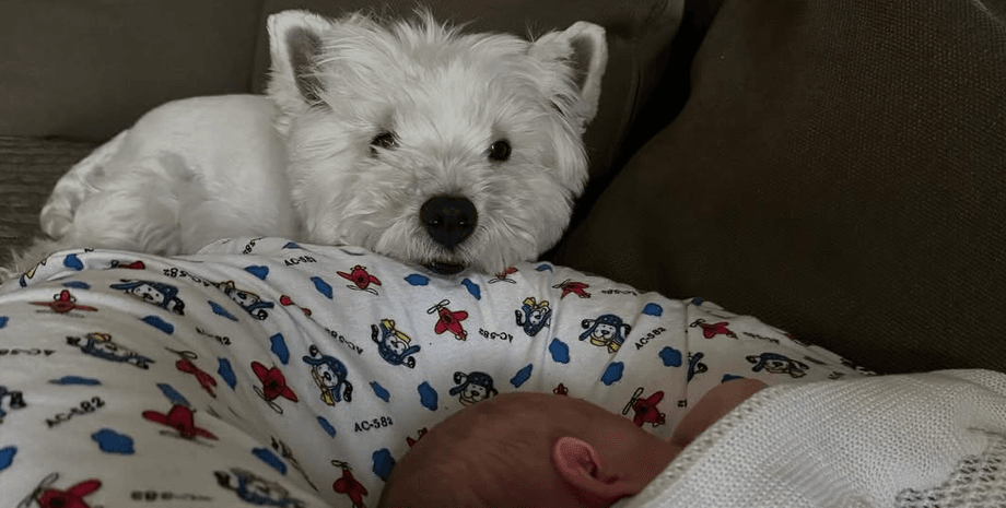 Сын Леси Никитюк, Орест