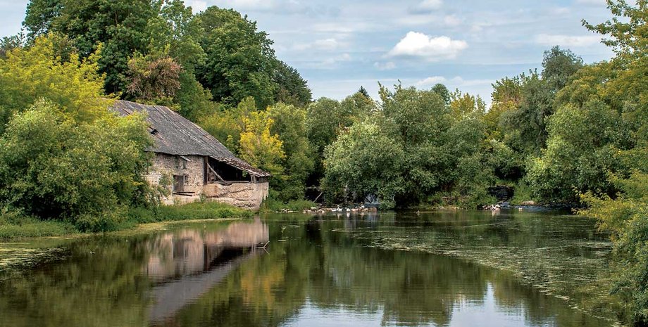Фото: Дмитрий Полюхович, Александр Волков