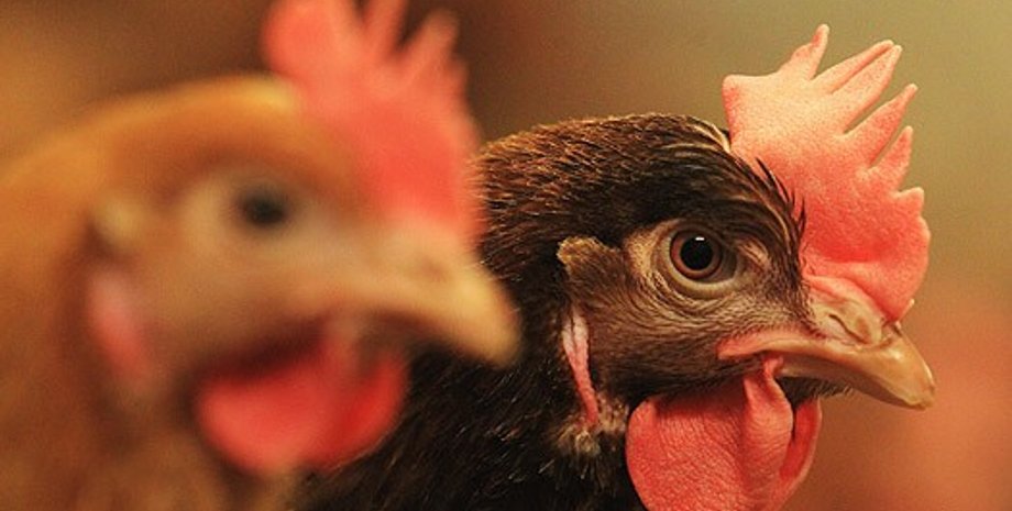 Getty Images/Fotobank