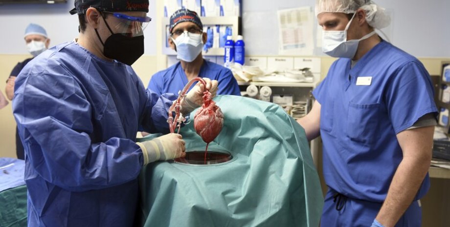 Трансплантація, операція, серце, Америка, медицина