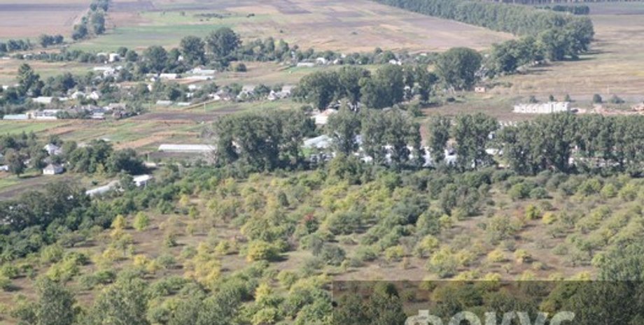 Фото: Ивана Черничкина, Фокус