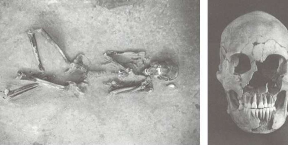 Японія, Яйой, Кофун, Дзьомон, культура, міграція, гени, геном, дослідження, міграція, походження, населення, Корейський півострів, Азія, імміграція