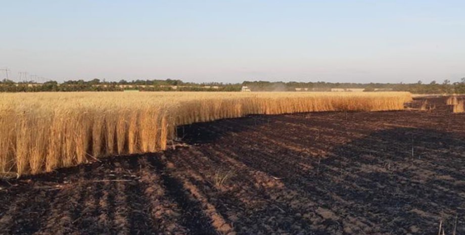 Фото пресс-служба ГСЧС