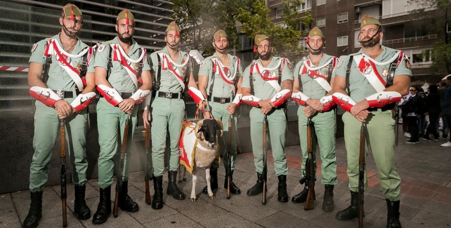 испанский легион, легионеры, коза