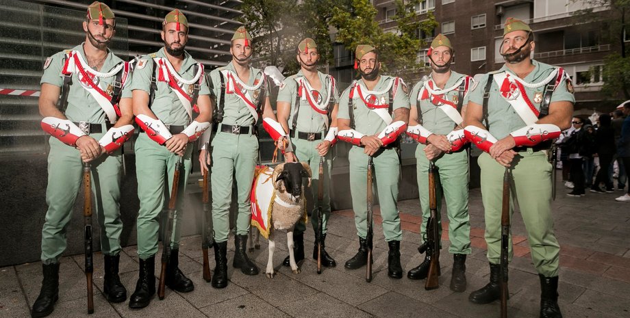 испанский легион, легионеры, коза