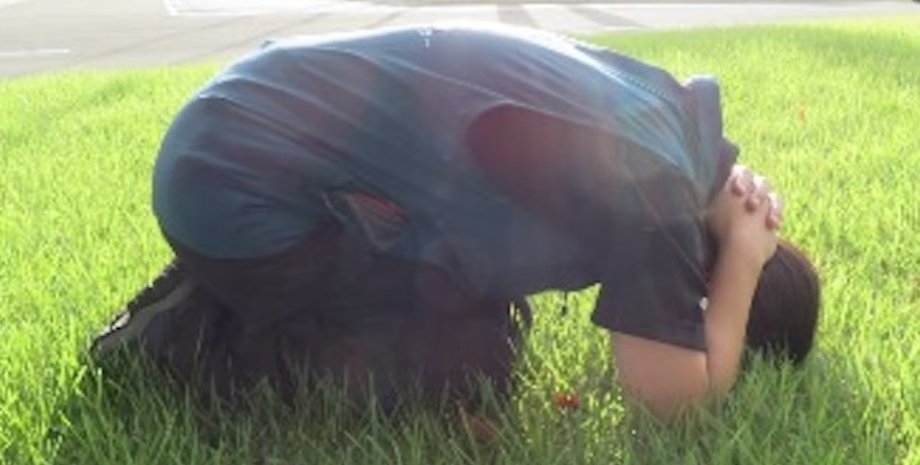 защита, медведь, нападение медведя