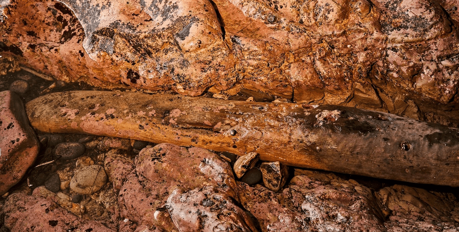 бревно, камни, фото