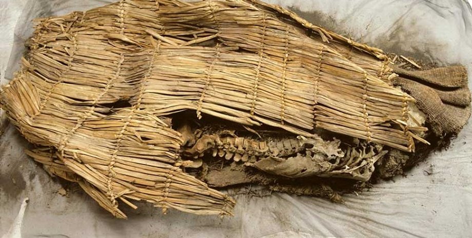 мумія останки невада америка