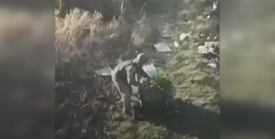 ЗСУ, робот, дрон, Воля-Е, фото