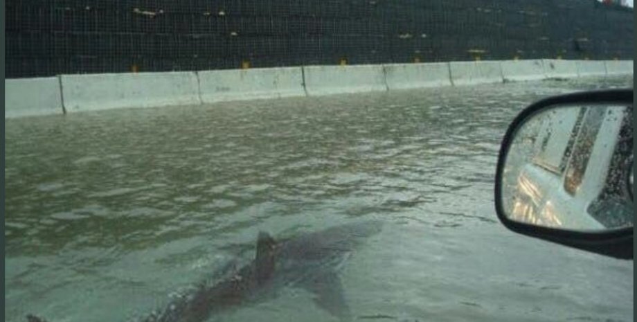 Наводнение в Хьюстоне / Фото: Twitter