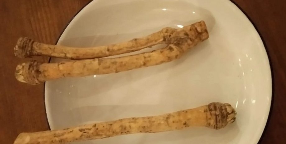 Премия, Золотой хрен, Андрей Любка,  роман, литература, сцена секса