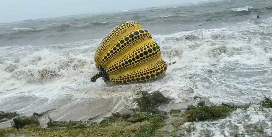 Тыква, тайфун, яой кусама, наосима