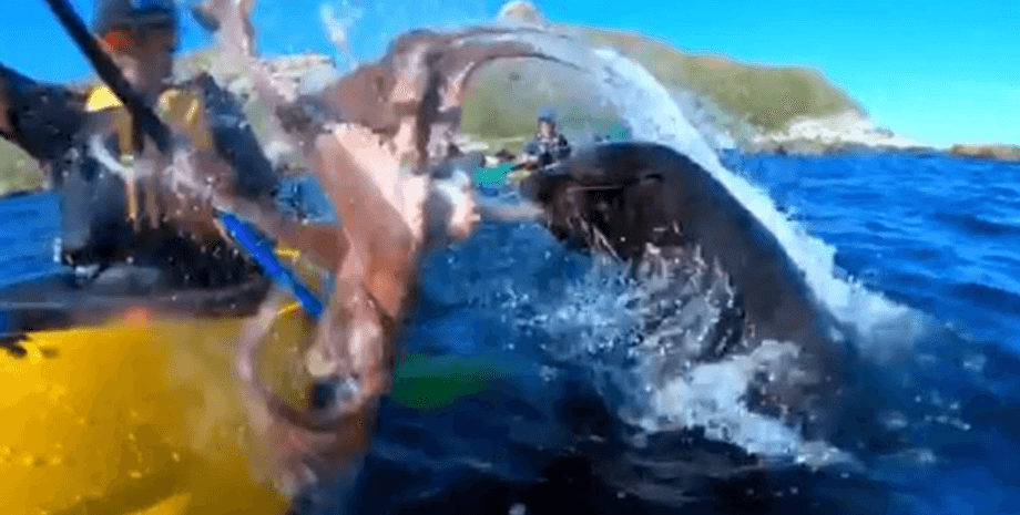 Кадр из видео