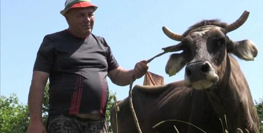 Пенка и ее хозяин / Скриншот видео: euronews.com