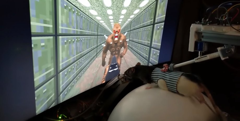 Щур, DOOM, скріншот, Rodent VR