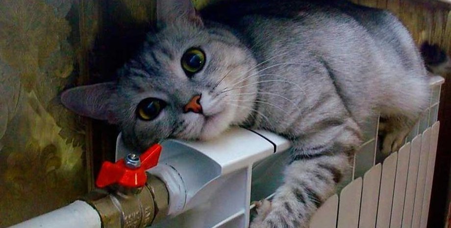 тарифы на тепло, тепло и горячая вода в украине