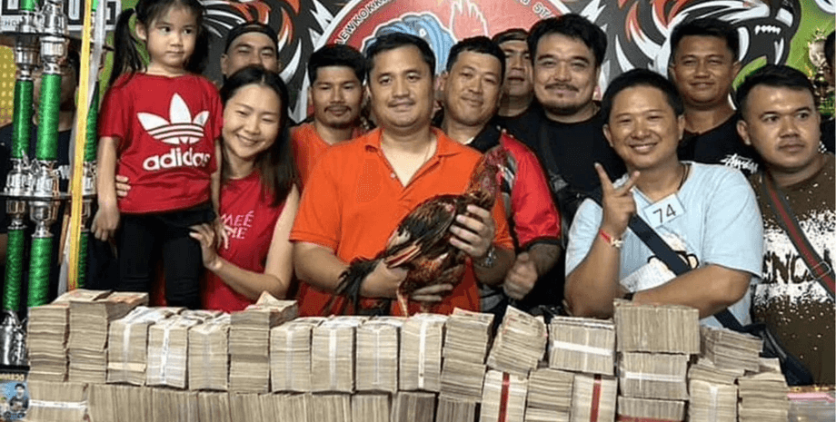 Легенда спорта: владелец продал любимого бойцовского петуха за рекордную сумму