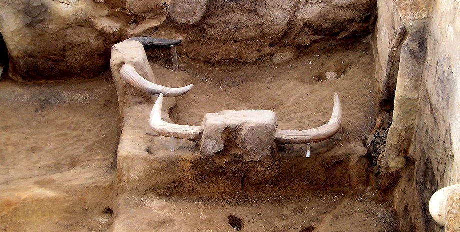 Раскопки Чаталхеюк. Фото: Verity Cridland