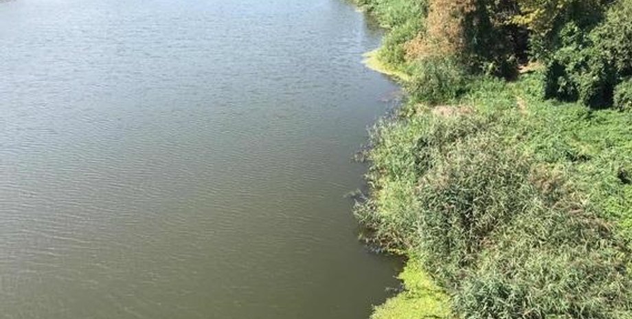 Фото: mk.npu.gov.ua