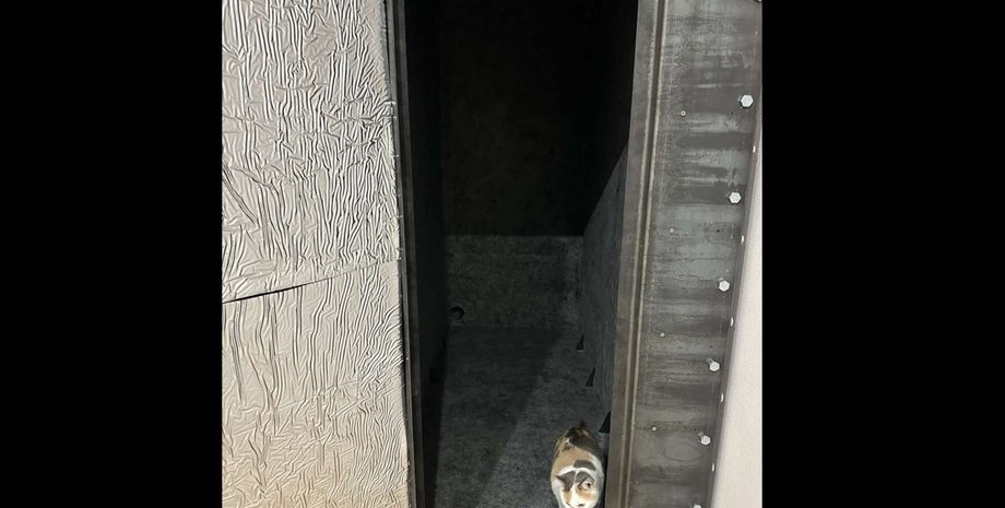 війна в україні, новини києва, касула життя, укриття, мобільне укриття, де сховатися від ракетного обстрілу в квартирі