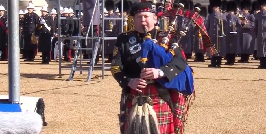 королівський волинник, волинник, волинка, король карл, корлева єлизавета