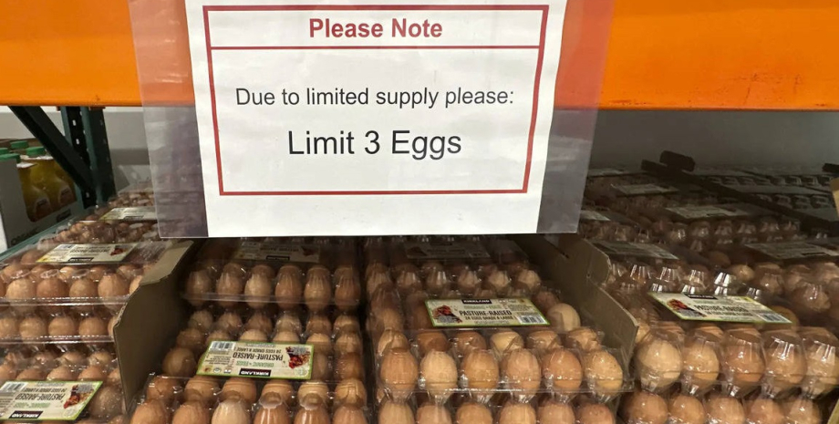 В США продолжается дефицит яиц В США продолжается дефицит яиц, сша яйца, яйца в сша
