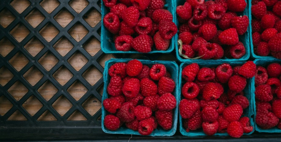 малина как выбрать малину