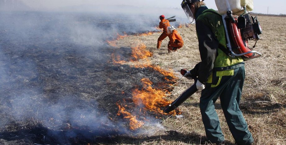 Горит торф / Фото: ГУ МЧС в Киевской области