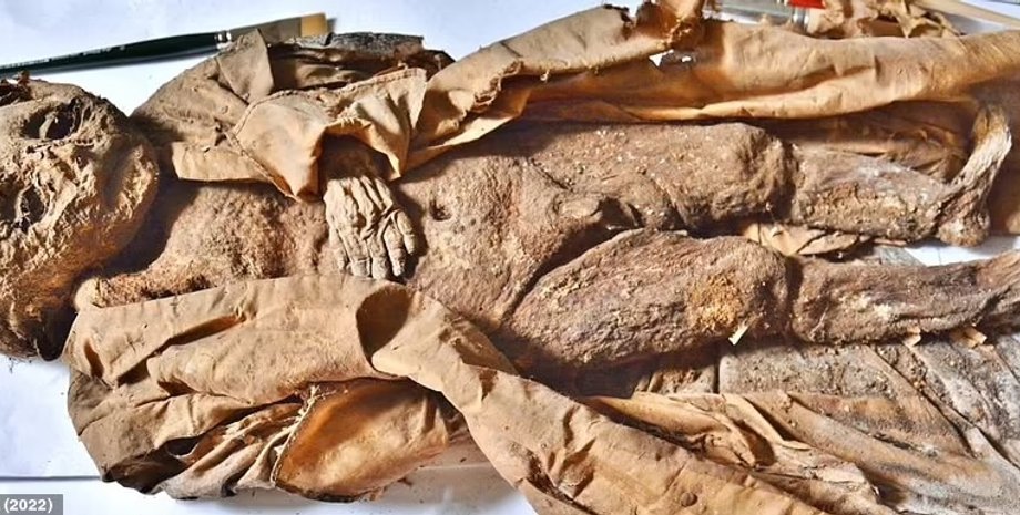 Мумия, аристократия, останки человека, археология