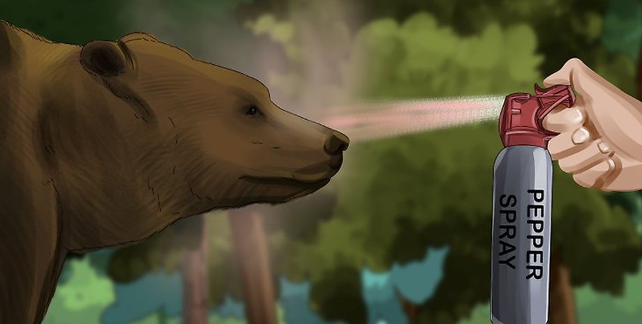 Иллюстрация: wikiHow