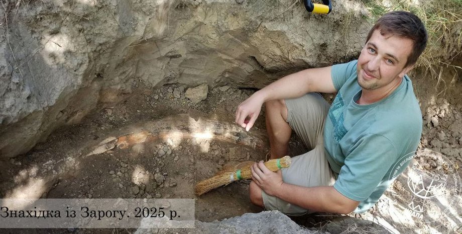 бивень, глина, розкопки, Заріг, Полтавська область