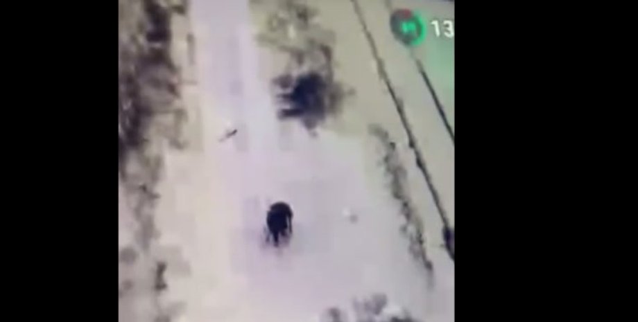 полон, полонений, дрон зсу, зс рф, полонений окупант, дрон взяв окупанта в полон