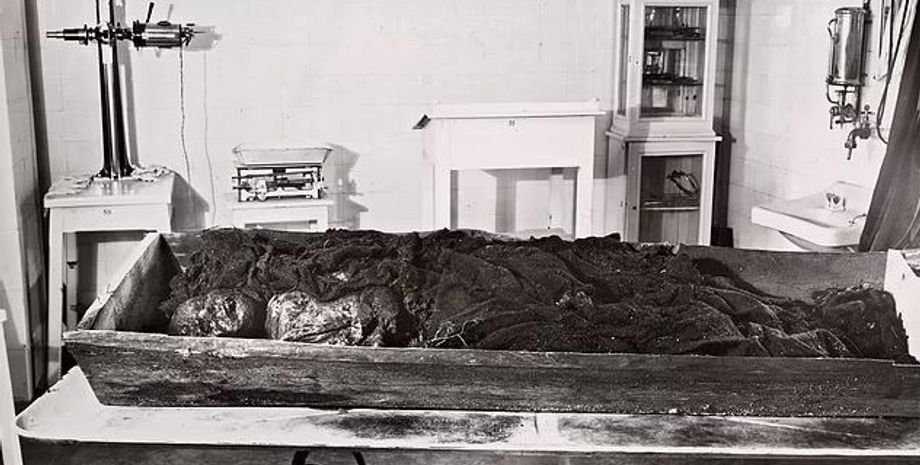 жертвоприношение, исследования, останки, древние люди, погребение