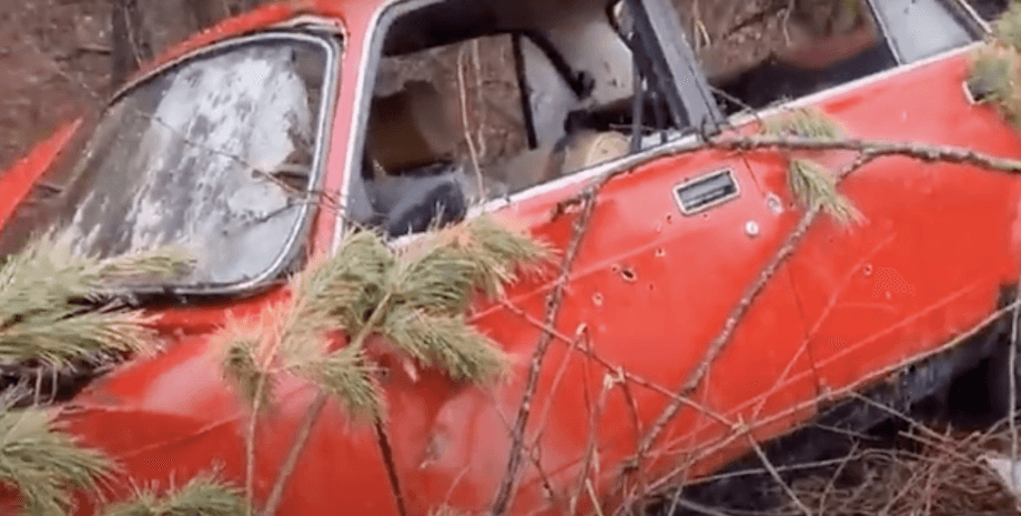 Расстреляний автомобиль, Киевская область.