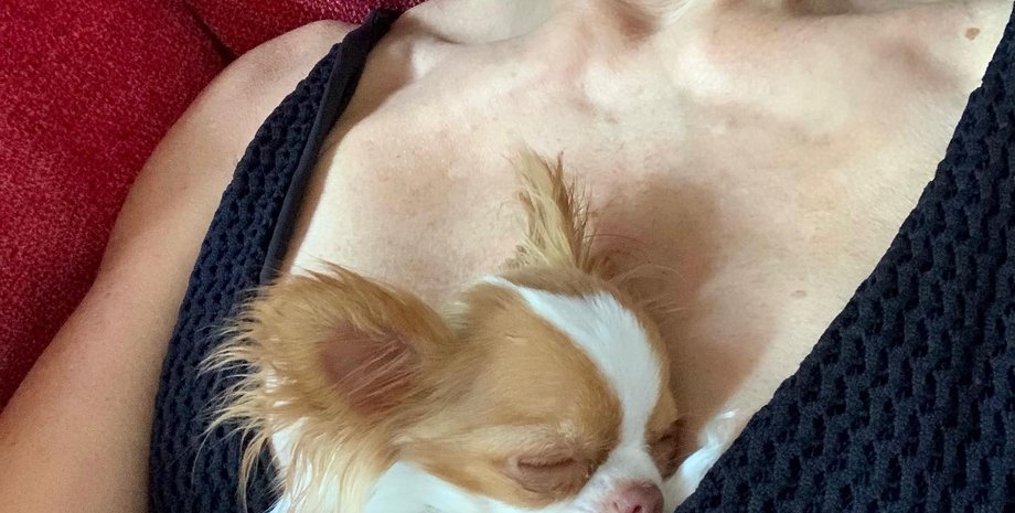 пилаф, деми мур