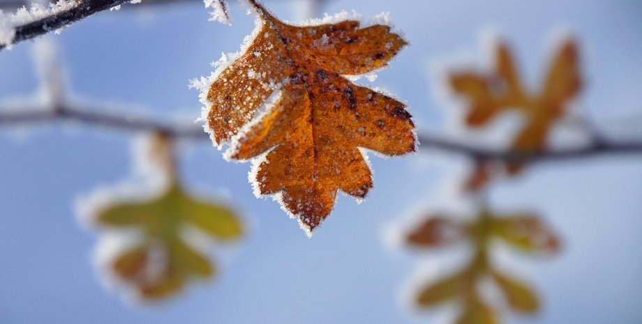 Фото: goodfon.ru