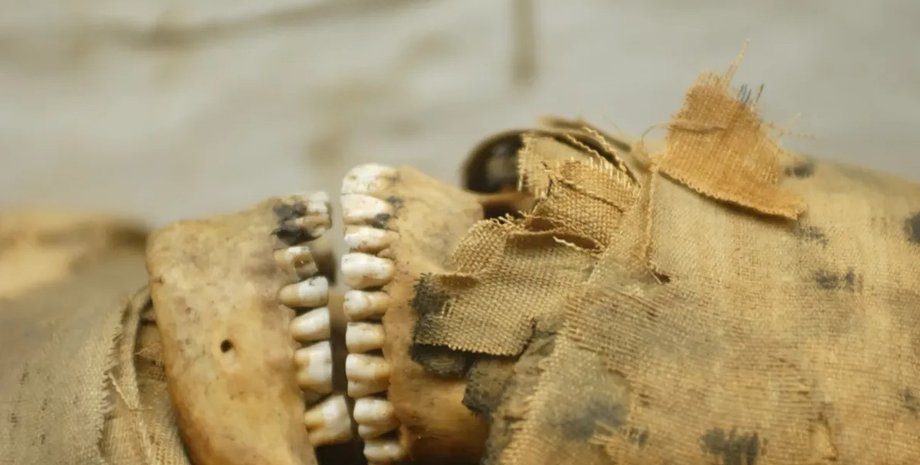 мумия, египетская мумия, зубы мумии