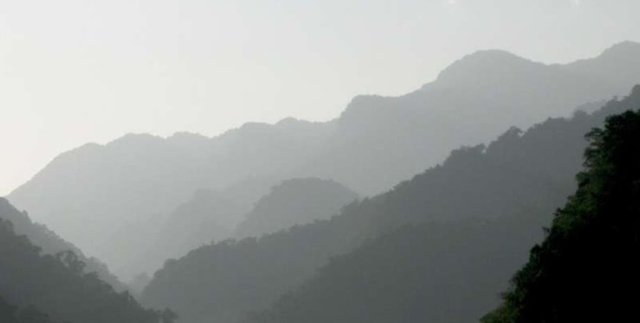 Фото: Dr Byron Adams