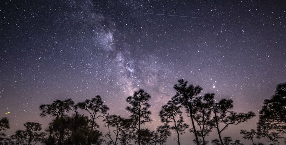 Фото: flickr.com/photos/dianasch