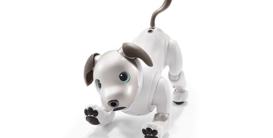Робот-собака Aibo / Фото: Sony