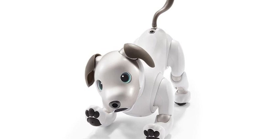 Робот-собака Aibo / Фото: Sony
