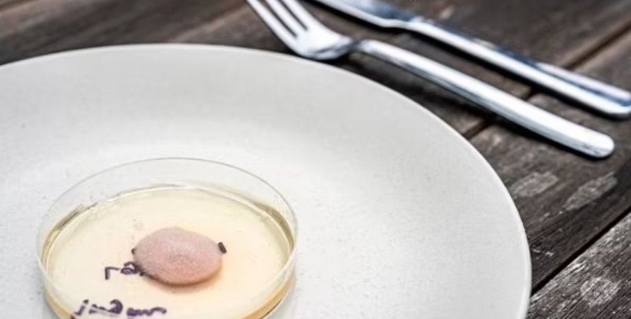 плесень, плесень кодзи